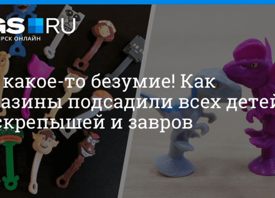 Скрепыши из «Магнита» и завры из «Пятерочки» свели всех с ума: как работают популярные акции торговых сетей, 17 октября 2022 г. | НГС