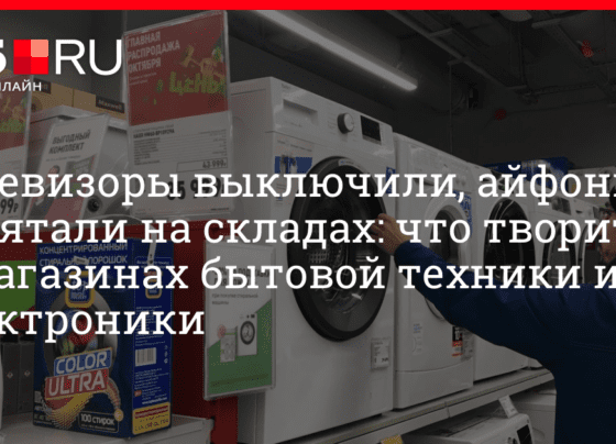 Возник ли дефицит на рынке бытовой техники и электроники: рассказываем, творится в магазинах 20 октября 2022 г. | 45.ru