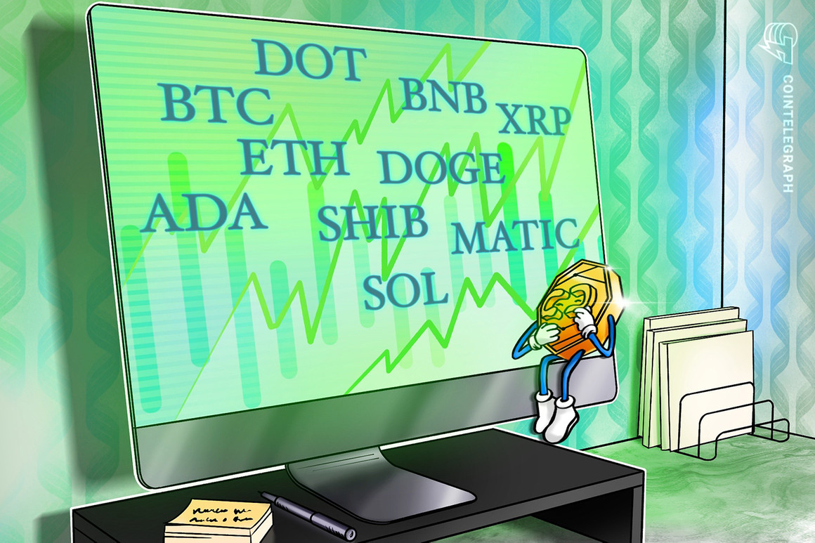 BTC, ETH, BNB, XRP, ADA, SOL, DOGE, DOT, MATIC, SHIB