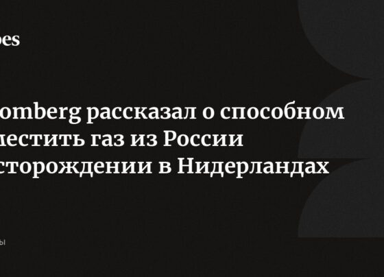 Bloomberg рассказал о способном заместить газ из России месторождении в Нидерландах