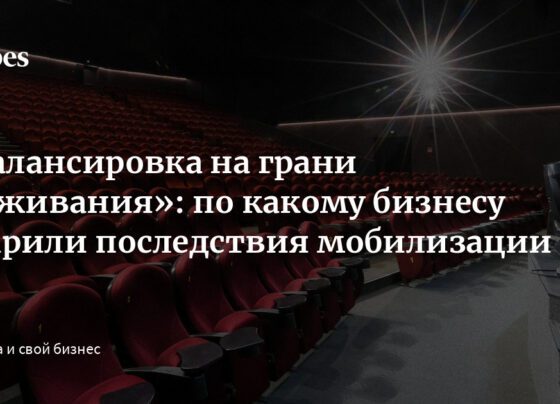 «Балансировка на грани выживания»: по какому бизнесу ударили последствия мобилизации