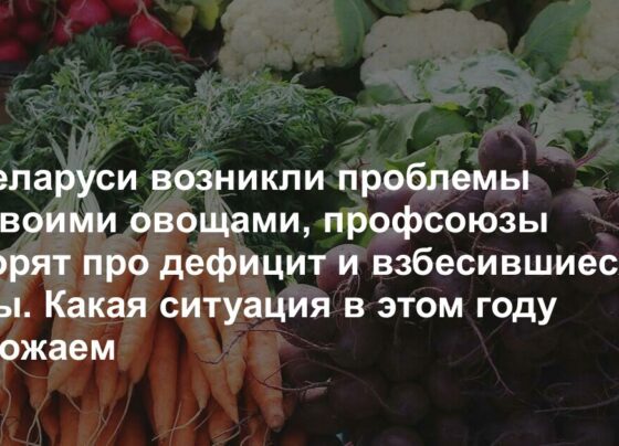 В Беларуси возникли проблемы со своими овощами, профсоюзы говорят про дефицит и взбесившиеся цены. Какая ситуация в этом году с урожаем