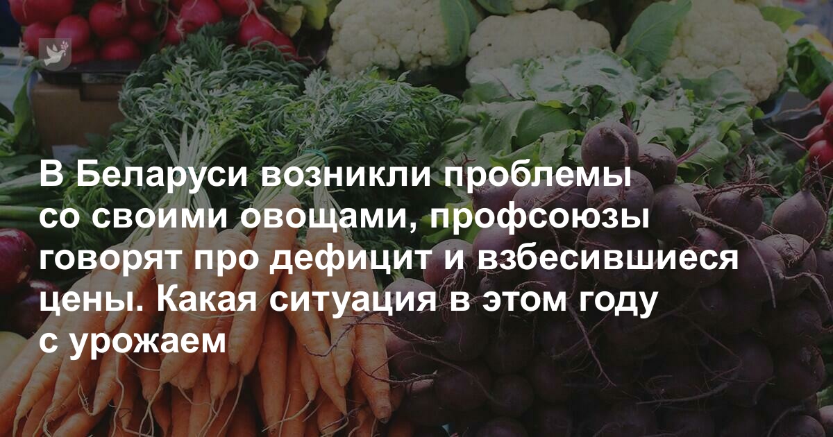 В Беларуси возникли проблемы со своими овощами, профсоюзы говорят про дефицит и взбесившиеся цены. Какая ситуация в этом году с урожаем