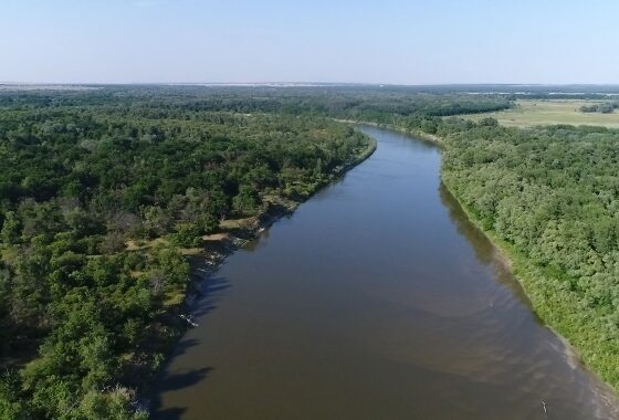 В Волгоградской области нашли мертвой бывшую учительницу