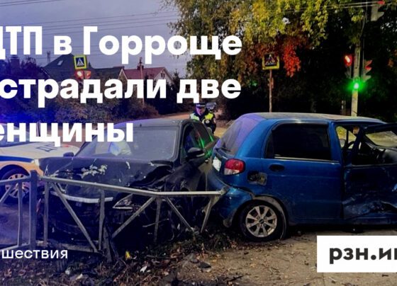 В ДТП в Горроще пострадали две женщины — Новости — город Рязань на городском сайте RZN.info