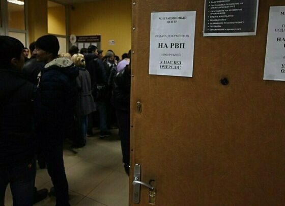 В Калининградской области хотят продлить запрет на работу мигрантов в ряде отраслей