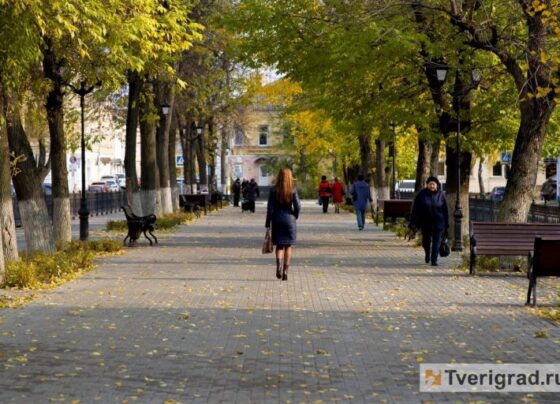 В Тверской области из-за мобилизации вырос спрос на женщин-соискателей