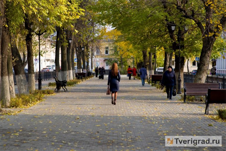 В Тверской области из-за мобилизации вырос спрос на женщин-соискателей