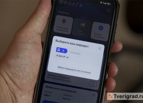 В «Транспорте Верхневолжья» назвали причины масштабного сбоя в приложении «Волга»
