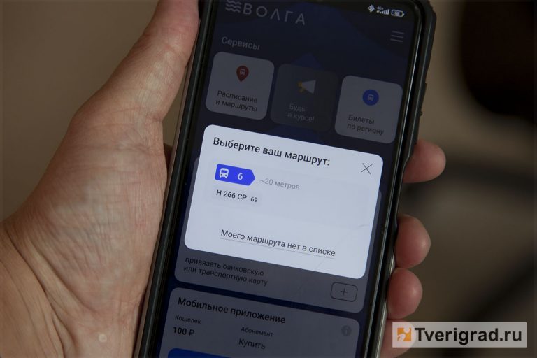 В «Транспорте Верхневолжья» назвали причины масштабного сбоя в приложении «Волга»