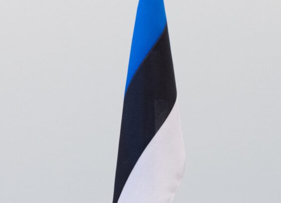 В Эстонии предложили использовать замороженные российские активы для финансирования Украины