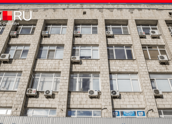 В центре Волгограда замерзают работники здания Арбитражного суда Волгоградской области 25 октября 2022 г. | v1.ru