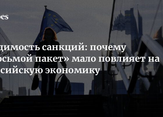 Видимость санкций: почему «восьмой пакет» мало повлияет на российскую экономику