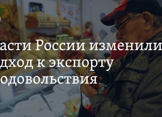 Власти России покроют санкционные издержки производителям масличных культур