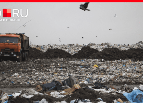 Где в Архангельской области появятся мусоросортировочные комплексы и останутся полигоны, 22 октября 2022 г. | 29.ru