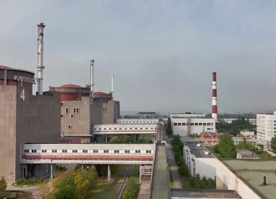 Глава ЕС Боррель осудил переход Запорожской АЭС под управление России