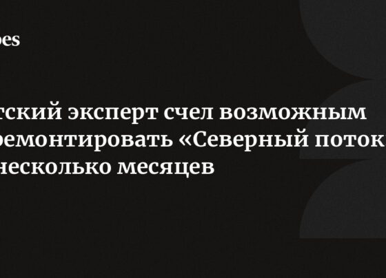 Датский эксперт счел возможным отремонтировать «Северный поток» за несколько месяцев