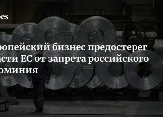 Европейский бизнес предостерег власти ЕС от запрета российского алюминия