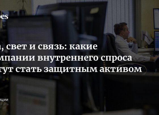 Еда, свет и связь: какие компании внутреннего спроса могут стать защитным активом