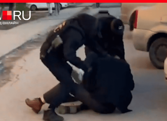 Задержание убийц 23-летнего айтишника сняли на видео в Волгограде | v1.ru