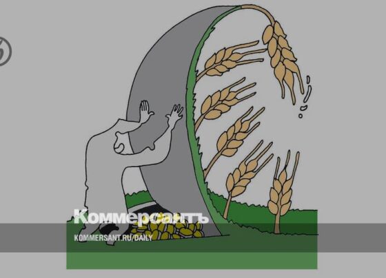 Зерно успешно релоцируется – Газета Коммерсантъ № 192 (7393) от 17.10.2022