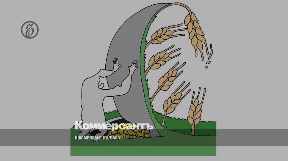 Зерно успешно релоцируется – Газета Коммерсантъ № 192 (7393) от 17.10.2022