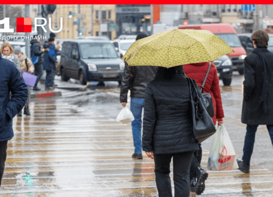 Какую среднюю зарплату в Ростовской области будут получать жители в конце 2022 года | 161.ru