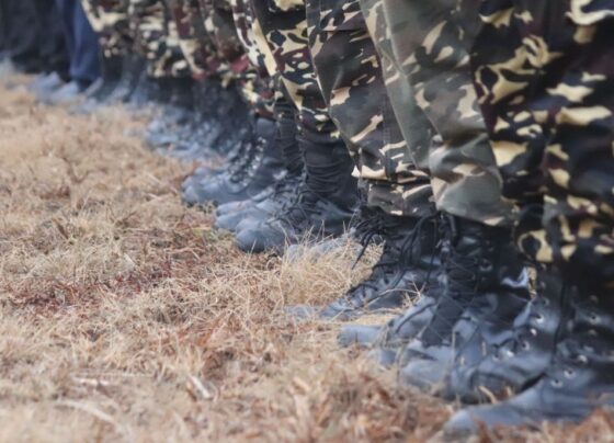 Когда мобилизованные из Алтайского края поедут на спецоперацию