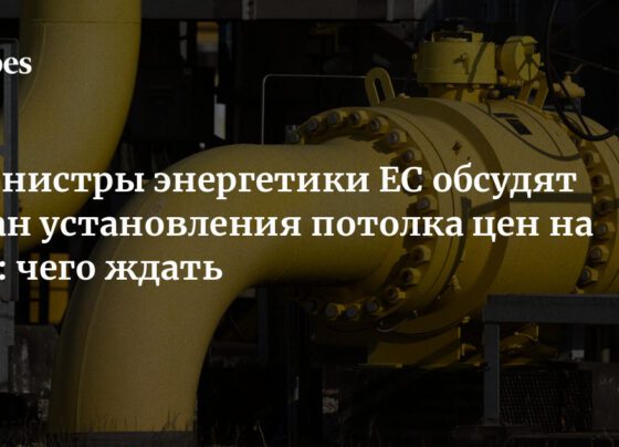 Министры энергетики ЕС обсудят план установления потолка цен на газ: чего ждать