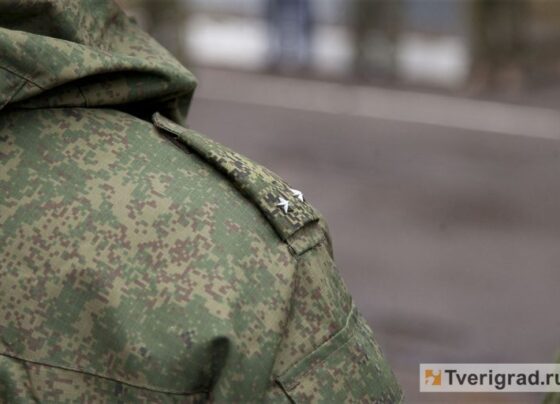 Мобилизованным россиянам готовят новую меру поддержки