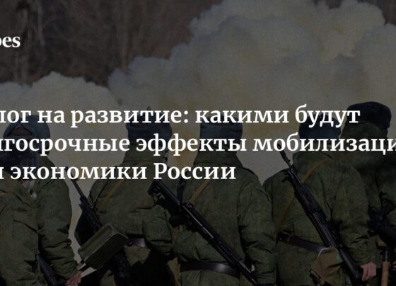 Налог на развитие: какими будут долгосрочные эффекты мобилизации для экономики России