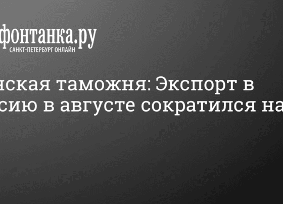 Насколько меньше товаров стали ввозить из Финляндии в Россию в августе 2022 г. - 10 октября 2022