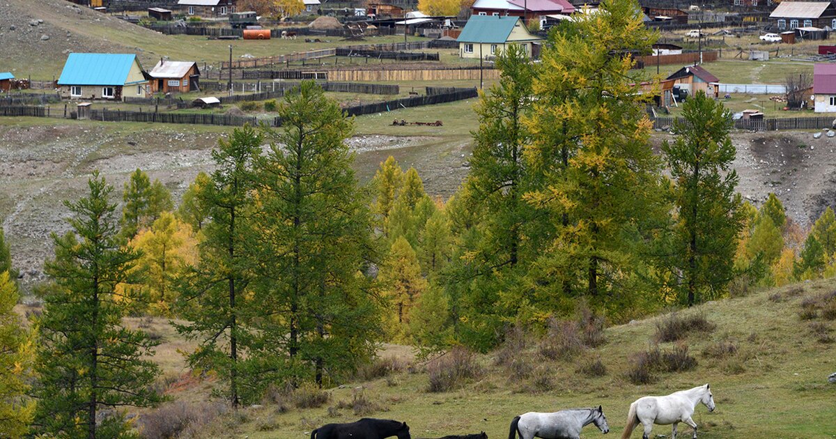 Ни одного человека не мобилизовали в Республике Алтай – сенатор – Москва 24, 07.10.2022