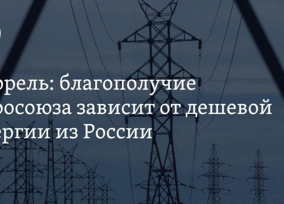 Отказ от российских энергоресурсов угрожает европейской экономике — Борррель