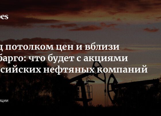 Под потолком цен и вблизи эмбарго: что будет с акциями российских нефтяных компаний