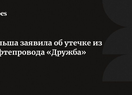 Польша заявила об утечке из нефтепровода «Дружба»