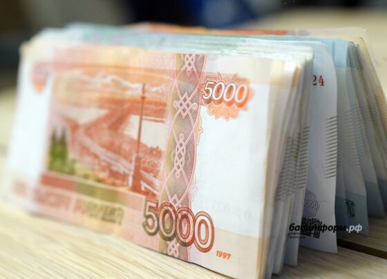 Предприниматель из Башкирии из-за миллиардного долга по налогам лишился имущества