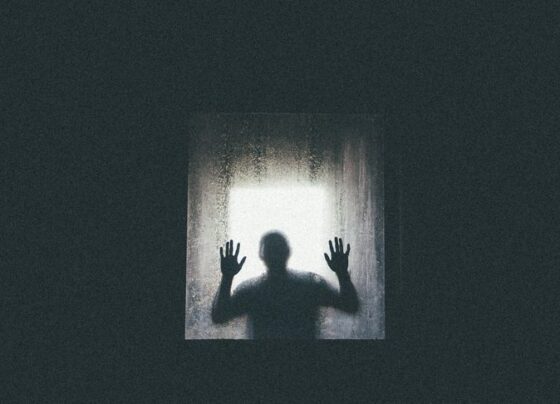 Премаркет. В области страха