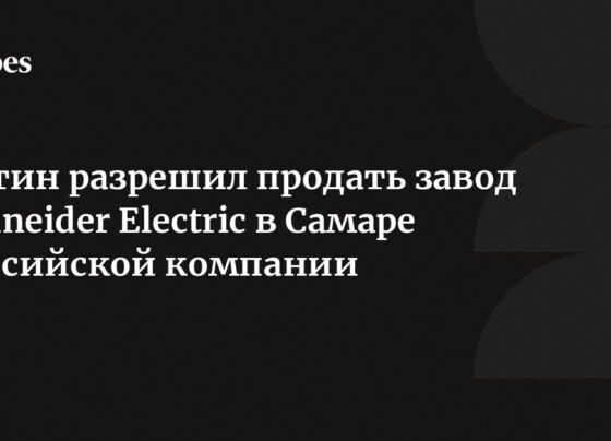 Путин разрешил продать завод Schneider Electric в Самаре российской компании