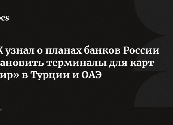 РБК узнал о планах банков России установить терминалы для карт «Мир» в Турции и ОАЭ