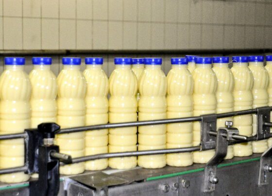 Роспотребнадзор назвал молокозаводы, работающие в Прикамье с нарушениями