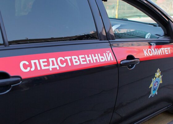 СК проверит случай с жителем Якутии, который идет домой уже полтора месяца