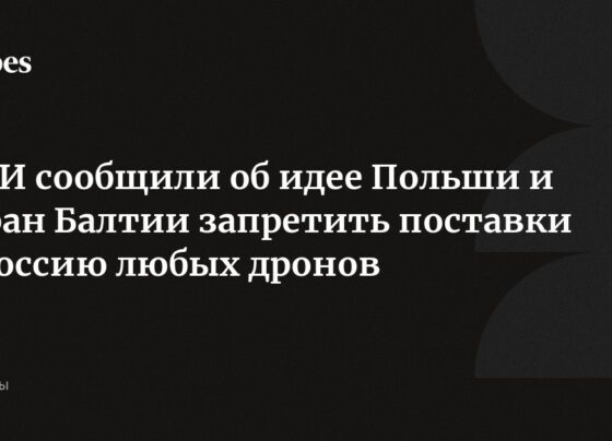 СМИ сообщили об идее Польши и стран Балтии запретить поставки в Россию любых дронов