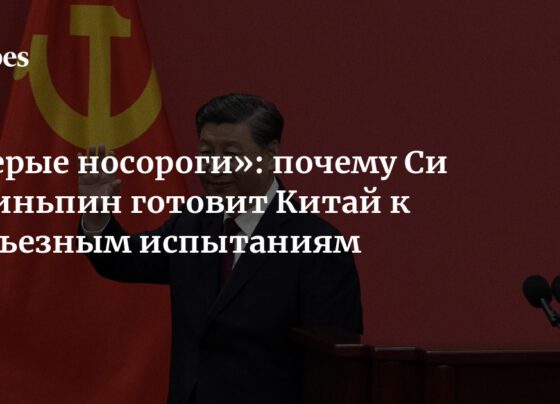 «Серые носороги»: почему Си Цзиньпин готовит Китай к серьезным испытаниям