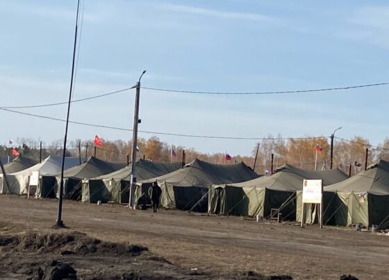 Сколько мобилизованных из Алтайского края вернул домой ОНФ