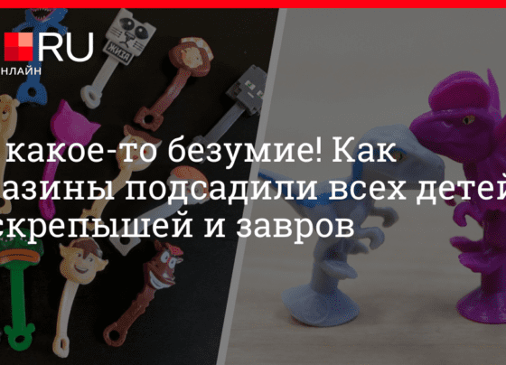 Скрепыши из «Магнита» и завры из «Пятерочки» свели всех с ума: как работают популярные акции торговых сетей, 17 октября 2022 г. | 72.ru