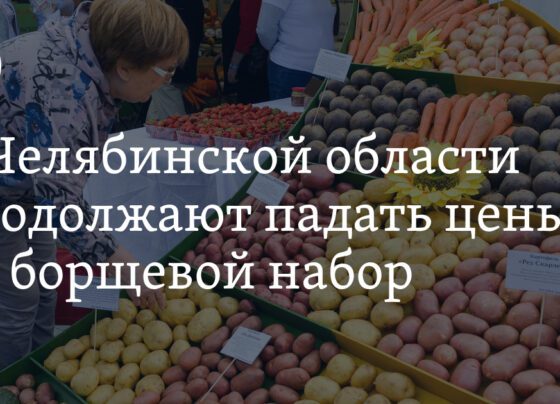 Снижение цен на продукты в Челябинской области: борщевой набор, стоимость