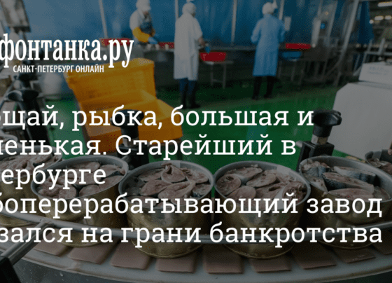 Старейший в Петербурге рыбоперерабатывающий завод оказался на грани банкротства - 18 октября 2022