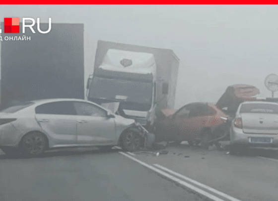 Туман и многочисленные ДТП парализовали трассу в Волгоградской области 28 октября | v1.ru