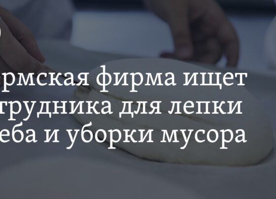 Фирма «Живой выбор» в Перми: вакансии, обязанности